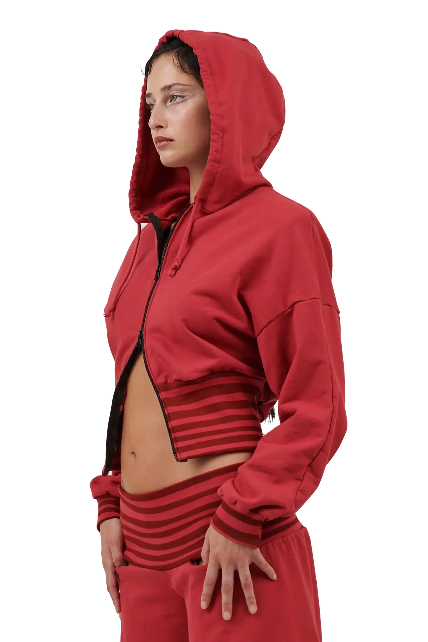 Circus Jacket - Marone/Red